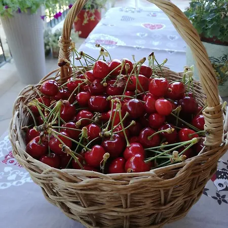 La Coccinella Bed & Breakfast