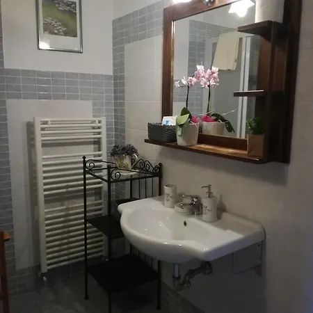La Coccinella